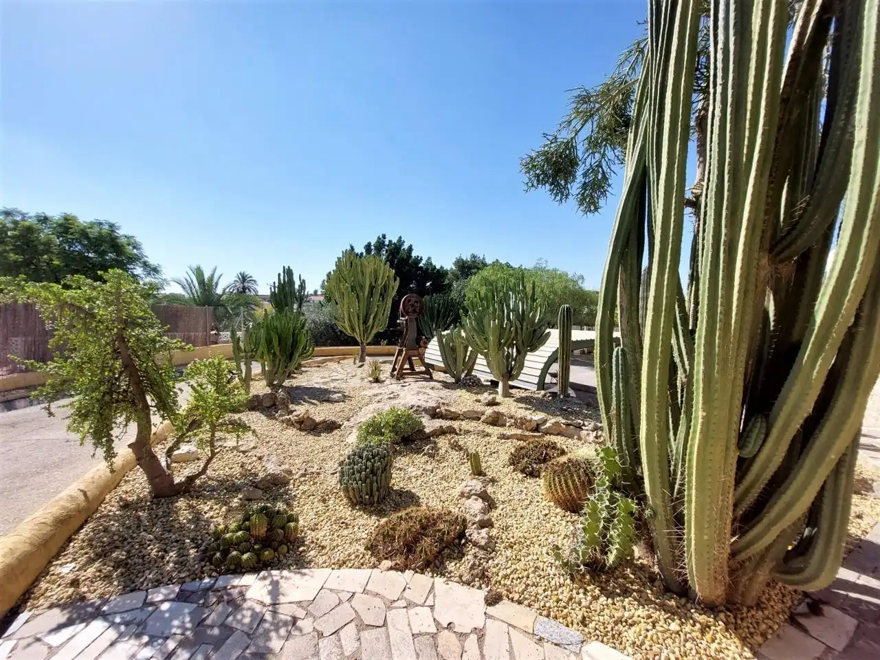 Garten von Wohnung zum Verkauf in Elche / Elx mit Privatgarten, Schwimmbad und Möbliert