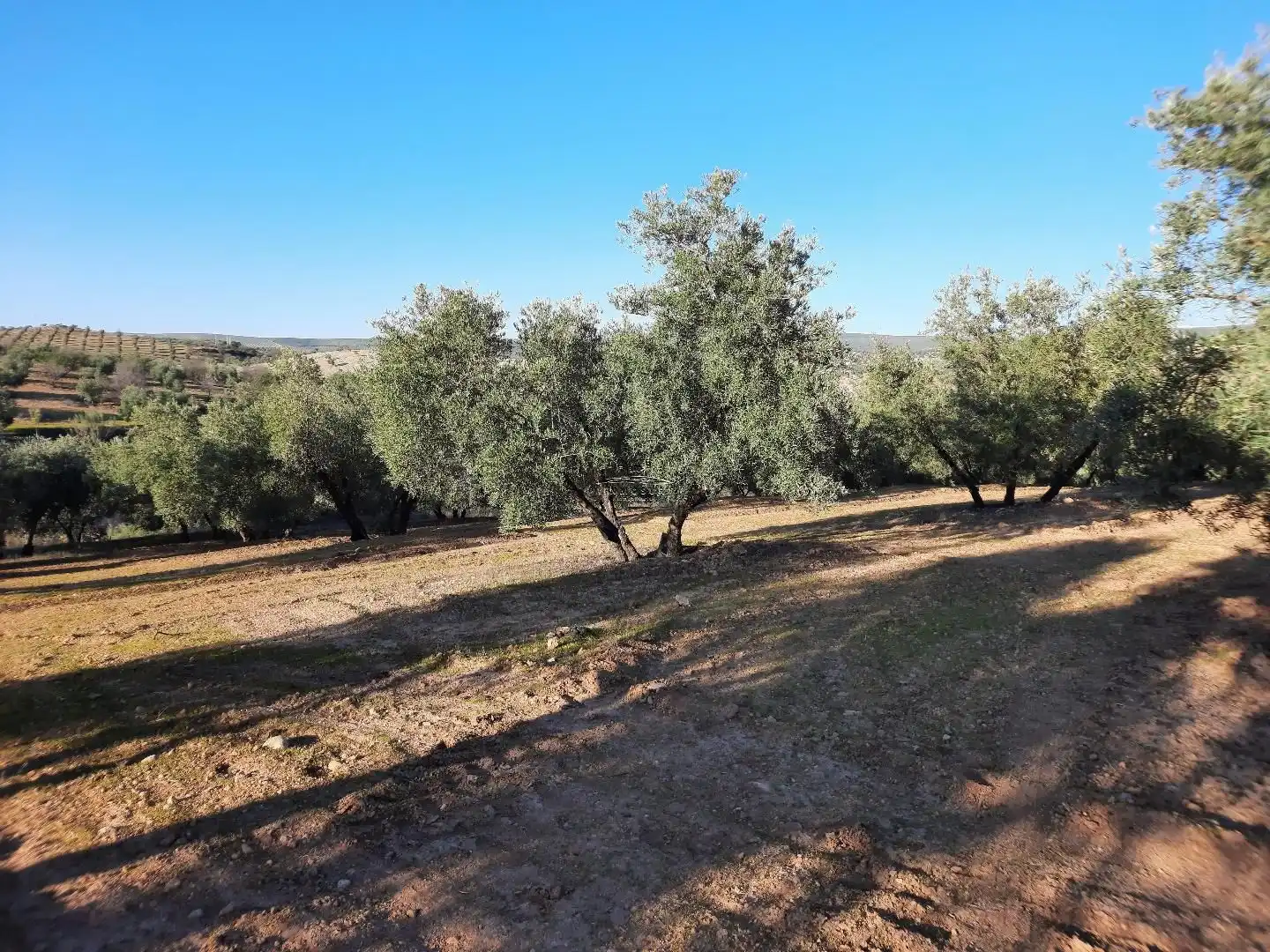 Terreno residencial en venta en Jauja, imagen 20