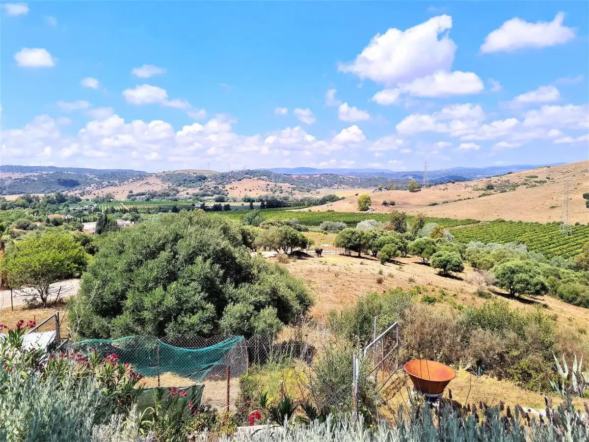 Finca rústica en venda en San Martín del Tesorillo amb Piscina