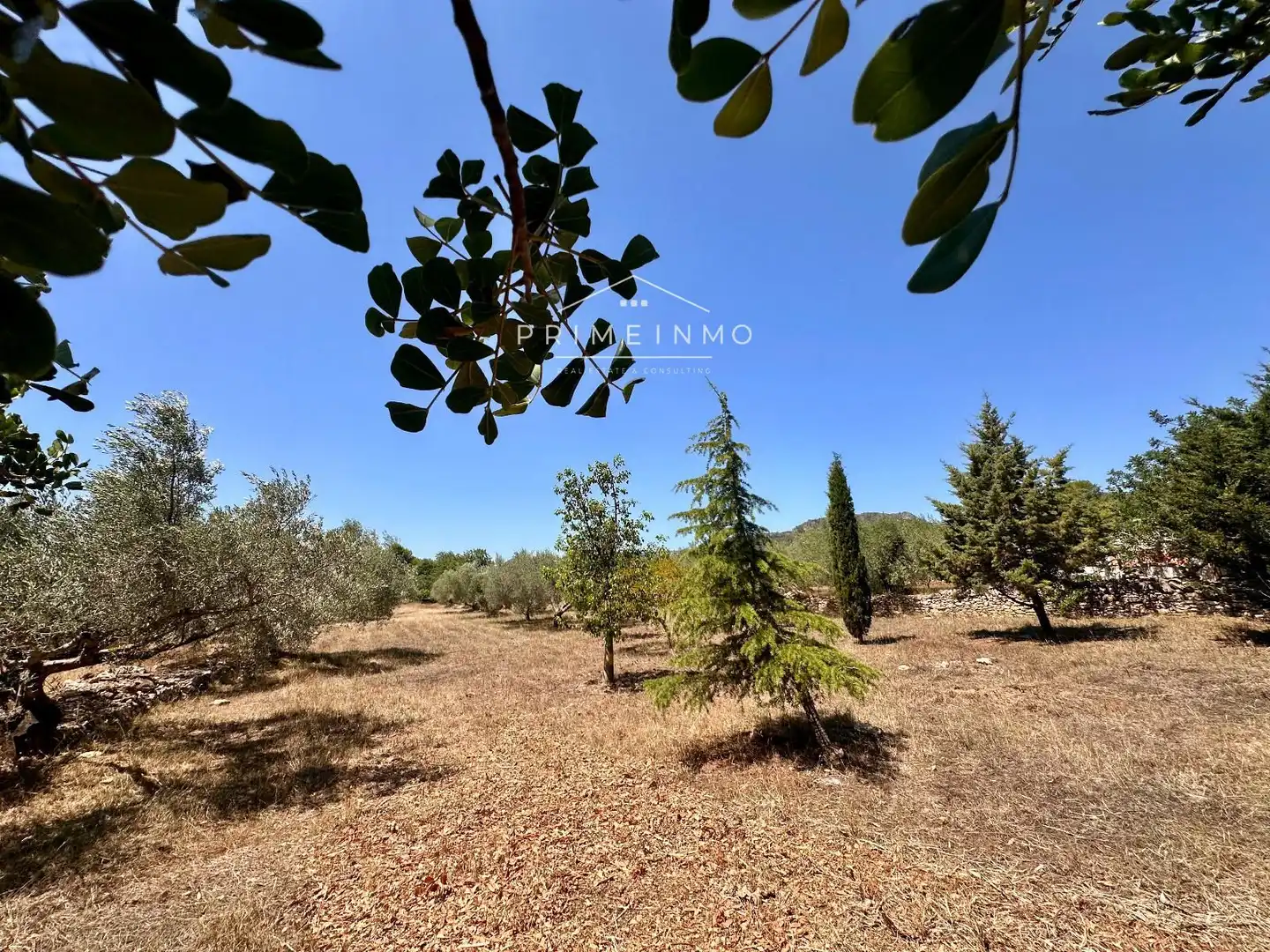 Finca rústica en venta en L'Ametlla de Mar  con Trastero