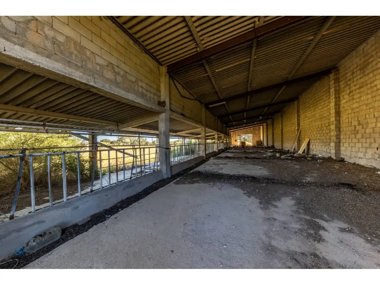 Terreno rustico in vendita a Llucmajor pueblo, imagen 54