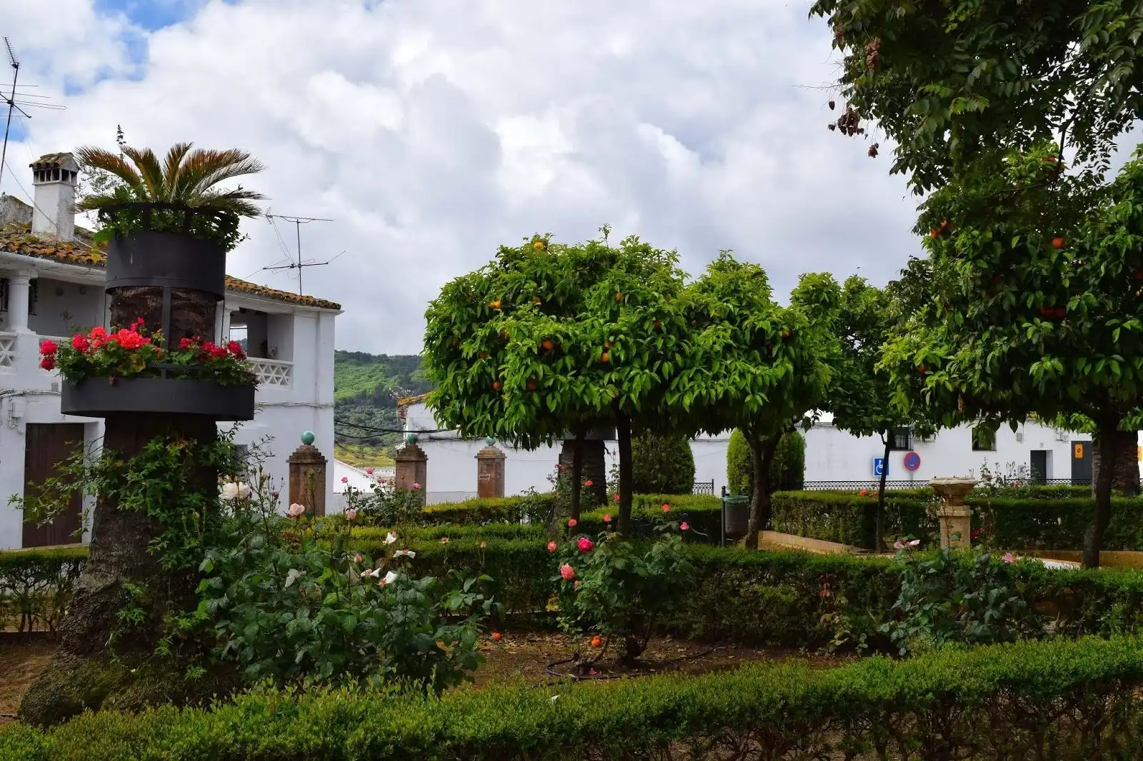 Jardí de Casa o xalet en venda en Cazalla de la Sierra amb Jardí privat, Traster i Piscina
