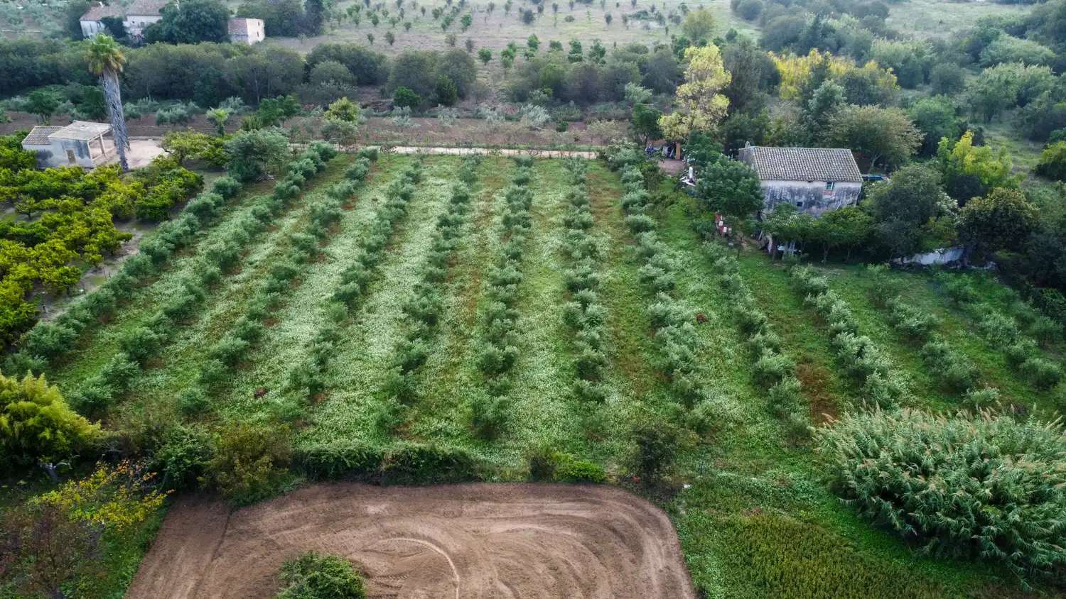 Terreny rústic en venda a Camí del Lloron de Tortosa 28, imagen 20