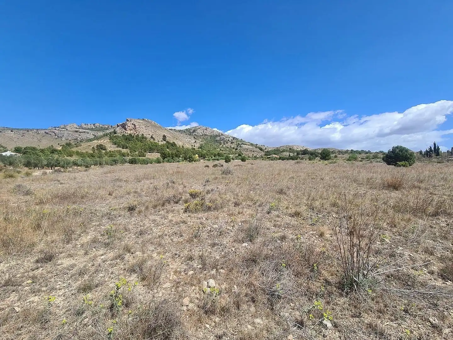 Residential land for sale in Las Tiesas, imagen 4