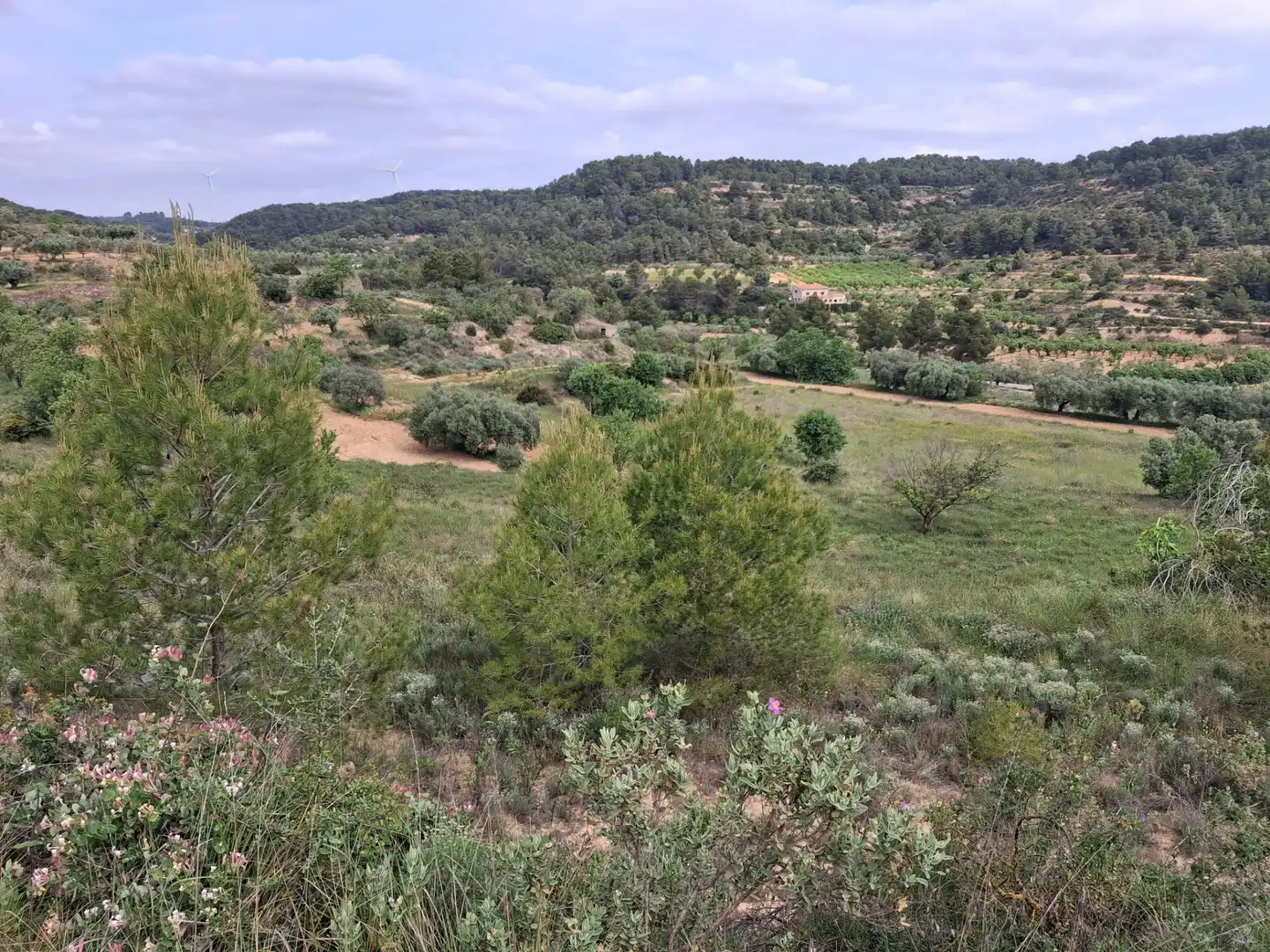 Rural land for sale in Gandesa, imagen 35