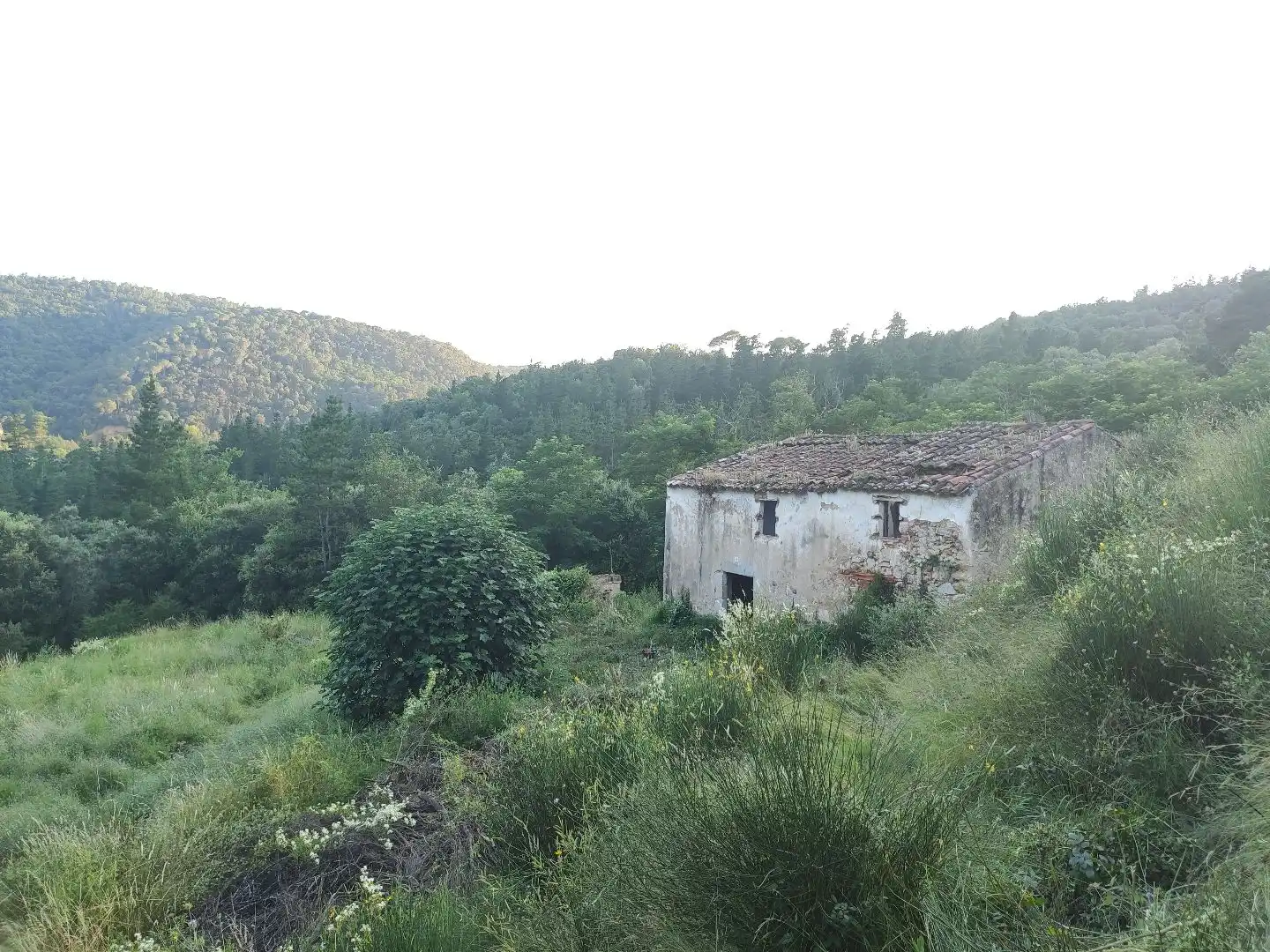 Maison rustique à vendre à GI-553 3, imagen 2