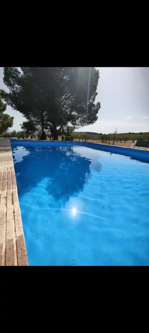 Piscina de Casa o xalet en venda en Yecla amb Jardí privat, Terrassa i Piscina