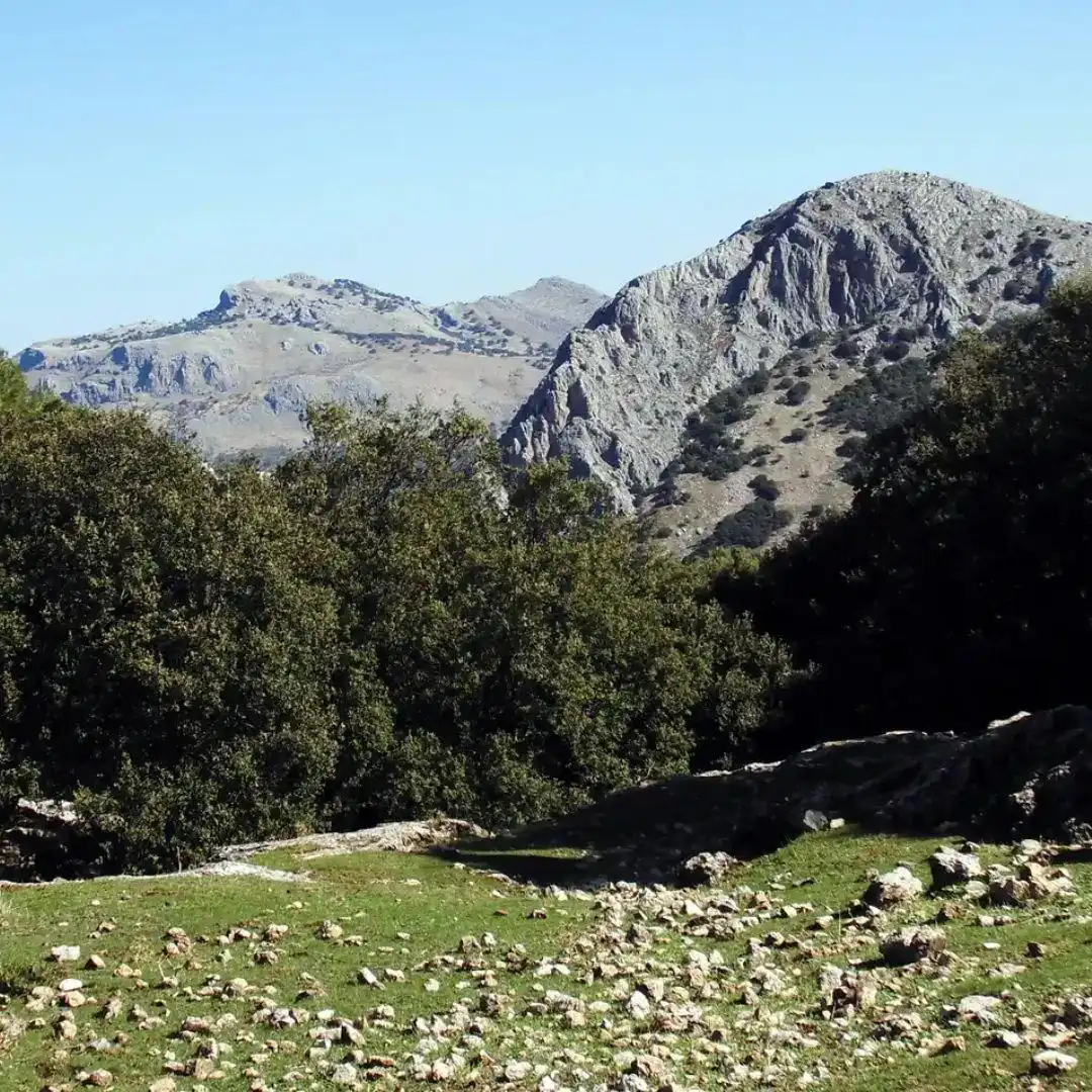 Gewerbefläche zur Übernahme in Villanueva del Rosario, imagen 5