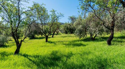 Foto 5 de Finca rústica en venta en Pinos Genil, Granada
