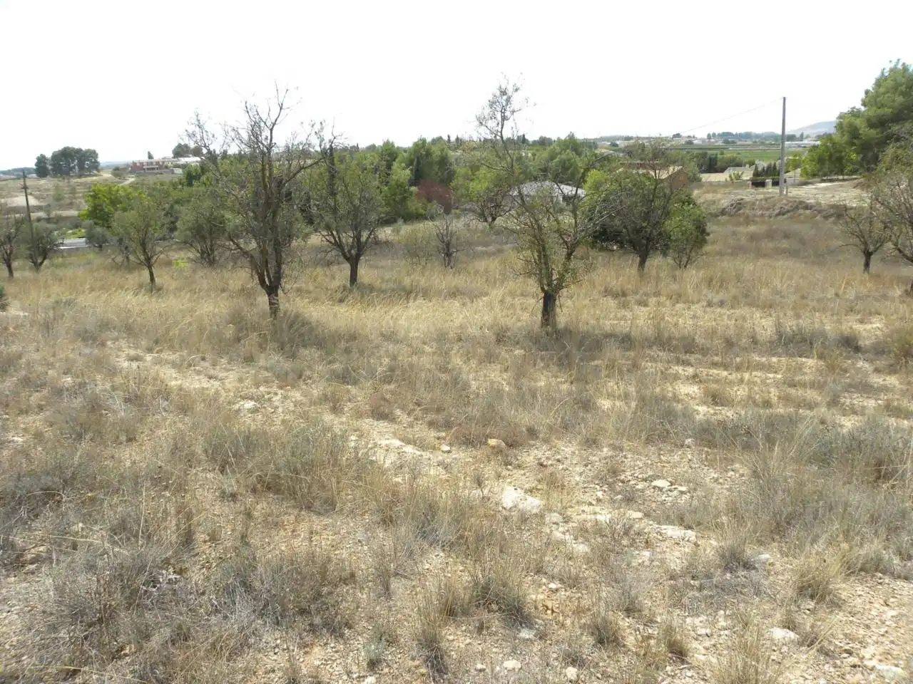 Residential land for sale in Caravaca de la Cruz, imagen 10