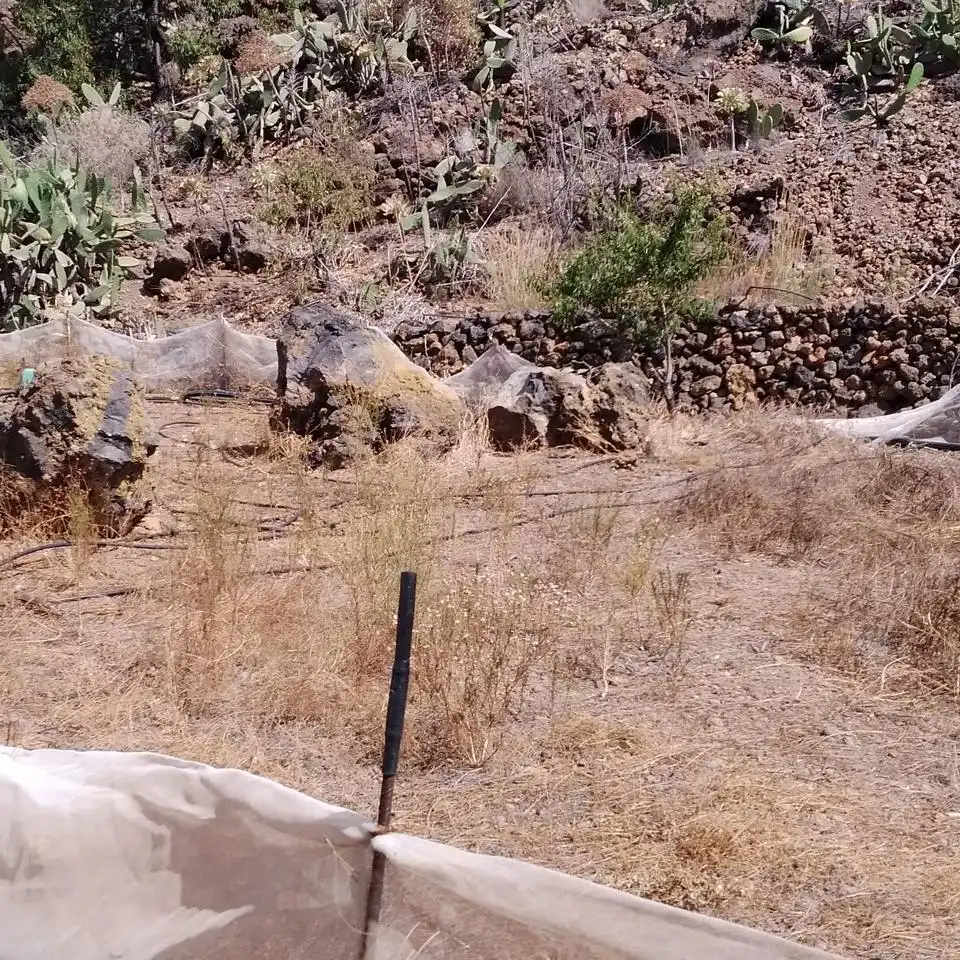 Terreny rústic en venda a Chío, imagen 19