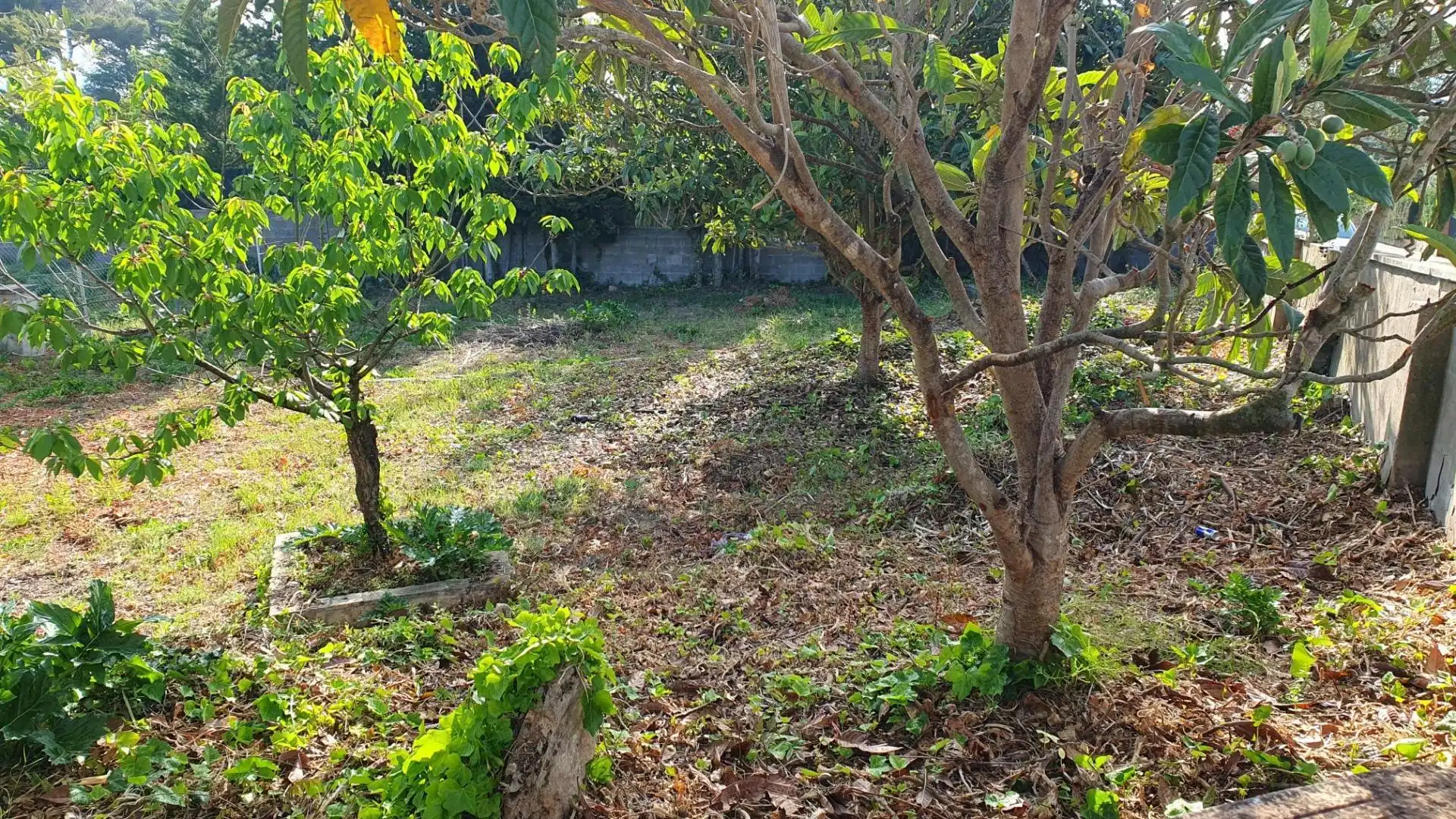 Terreny residencial en venda a La Torre de Claramunt, imagen 6