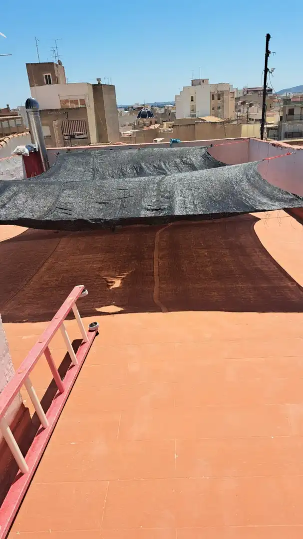 Jardín de Casa o chalet en venta en Callosa de Segura con Aire acondicionado, Terraza y Amueblado
