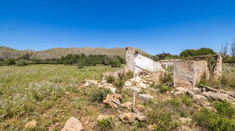 Parcela generosa en venta cerca de Puerto Pollensa en Mallorca, immagine 5
