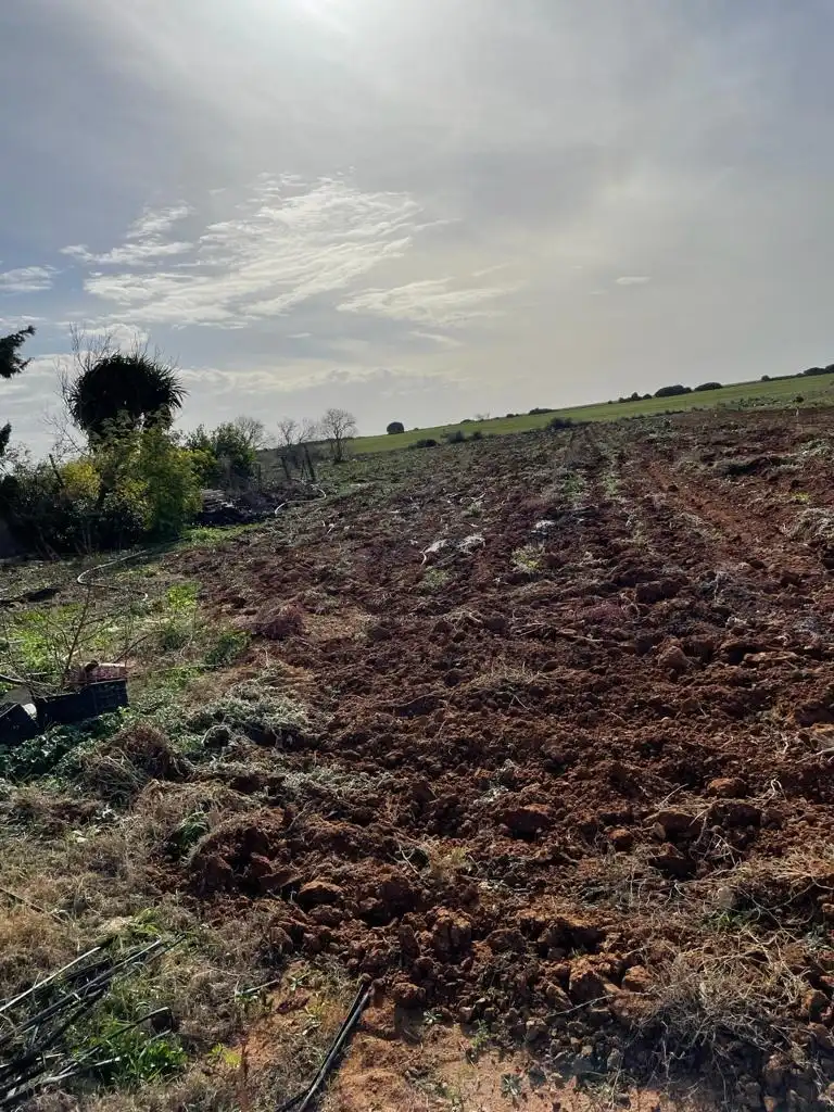 Rural land for sale in Barrio Nuevo, imagen 4