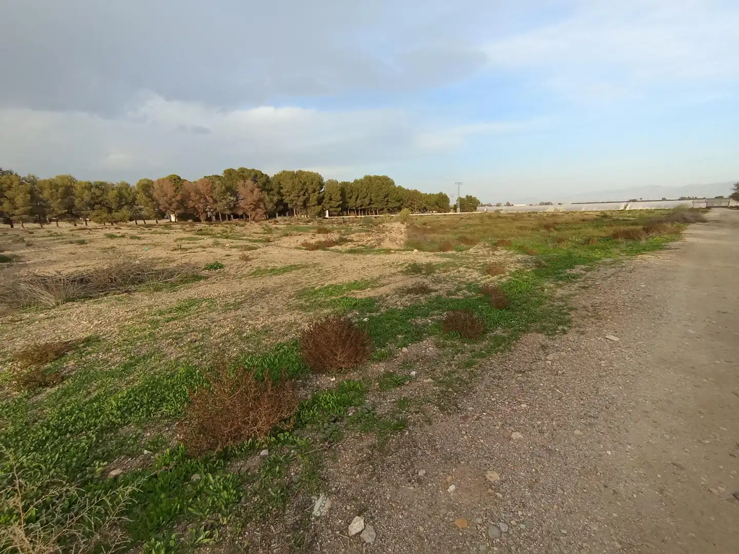 Terreny rústic en venda a Puerto Lumbreras, imagen 4