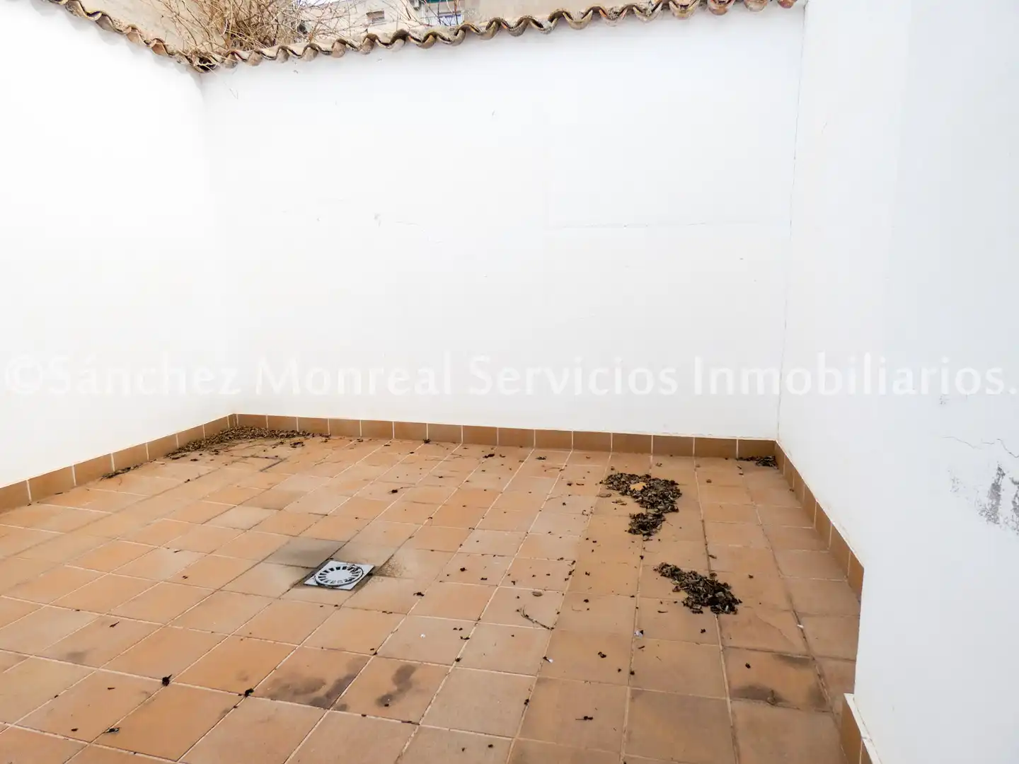 Casa en venta en Calle Doctor Alberca Lorente, imagen 14