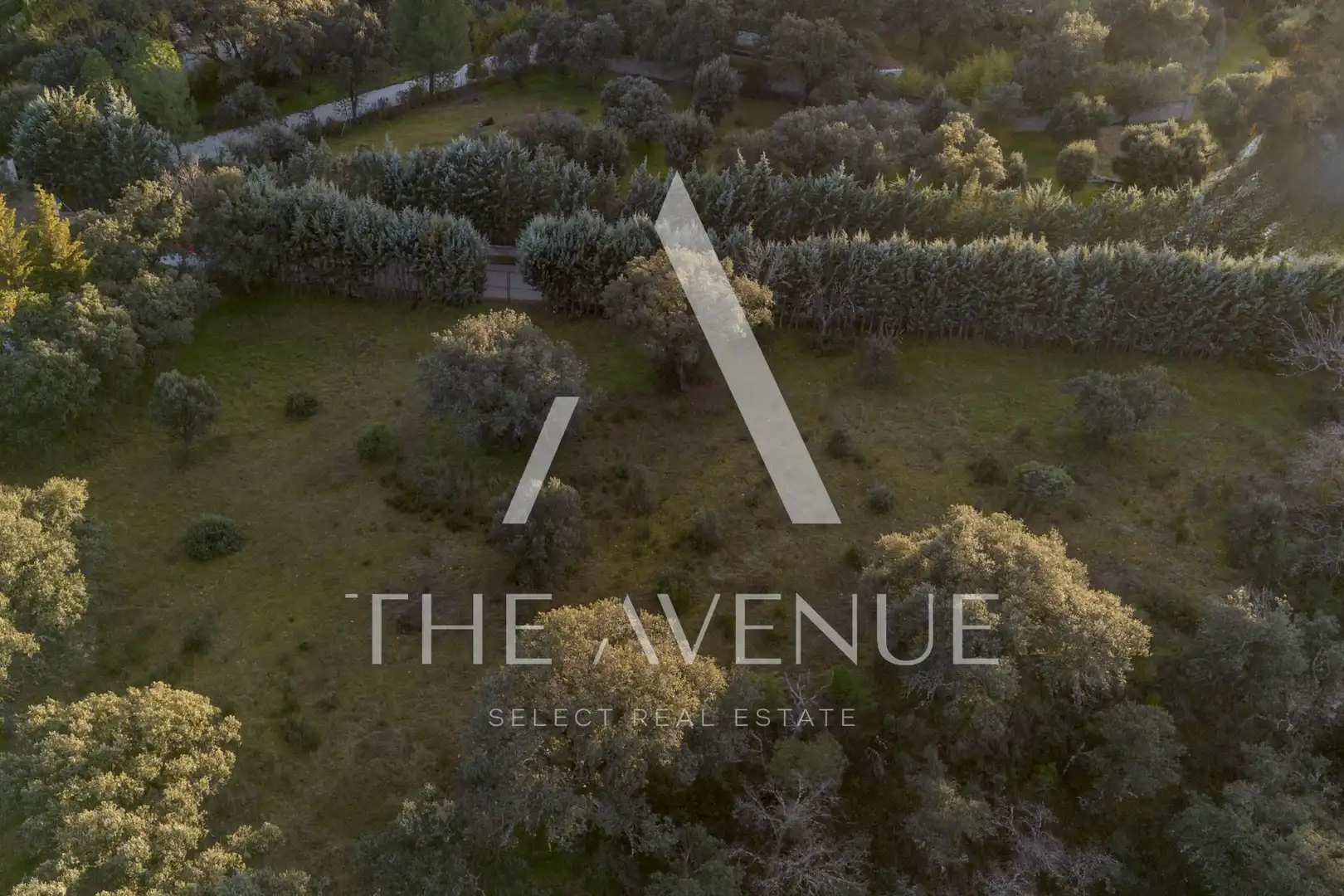 Terreno residencial en venta en Calle Enebros, imagen 22