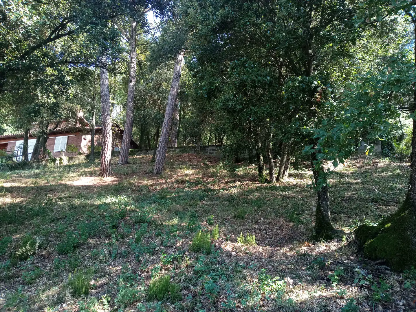 Terreno residencial en venta en Carrer de la Morera, imagen 20
