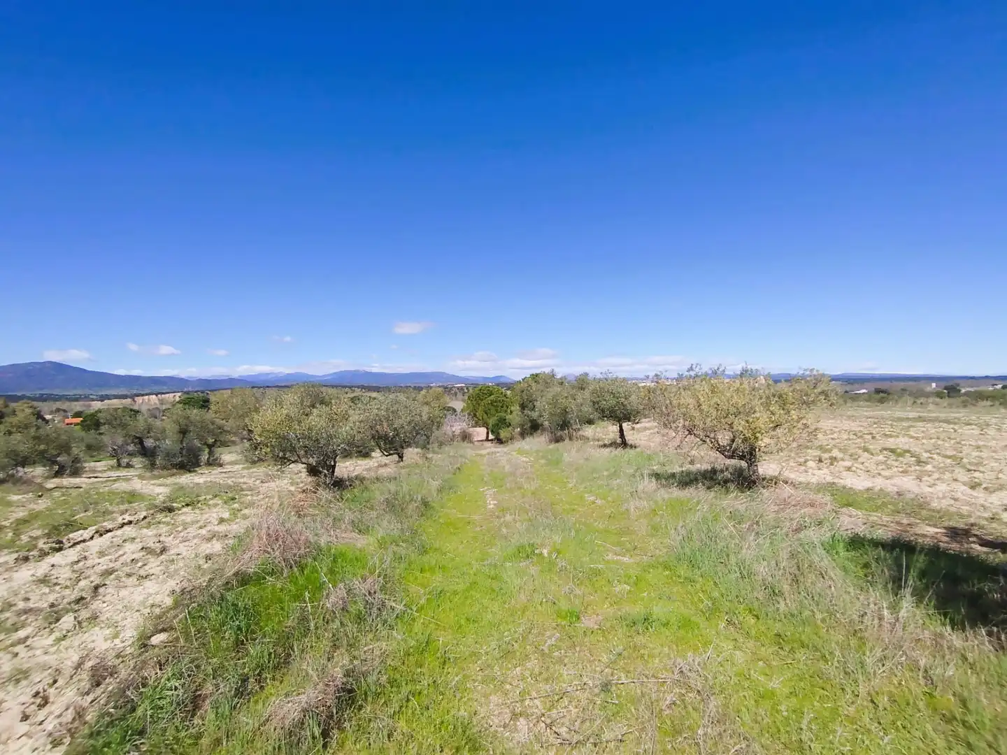 Land for sale in Escalona