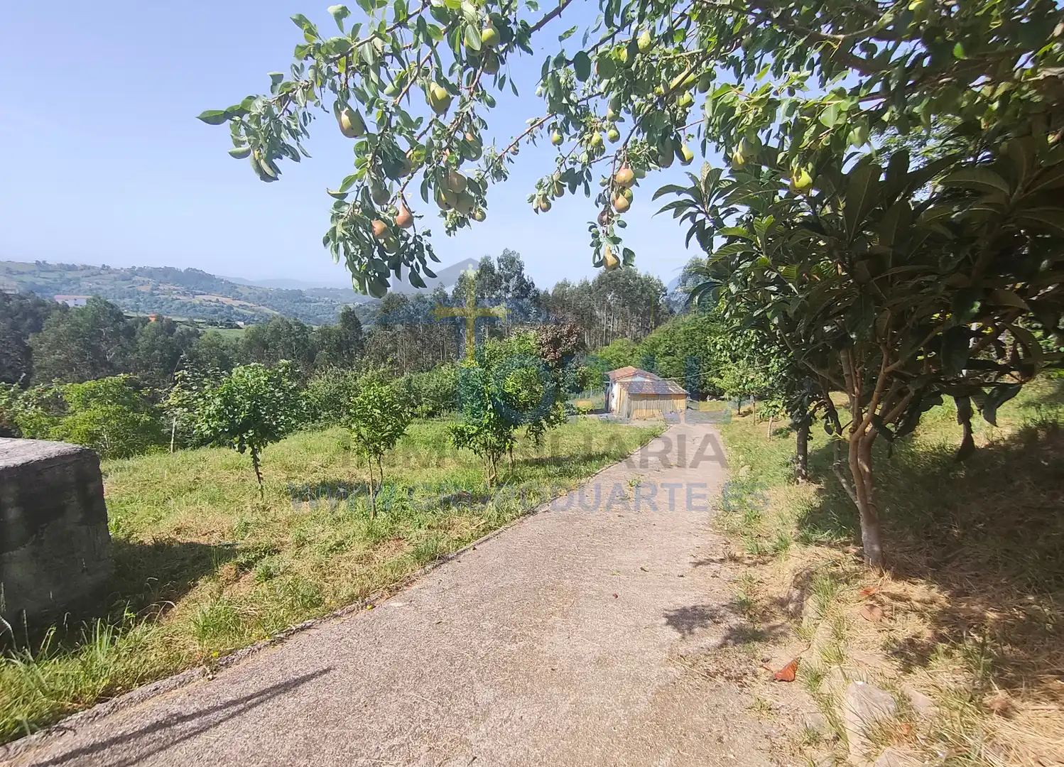 Casa o xalet en venda en Siero amb Calefacció, Jardí privat i Parquet