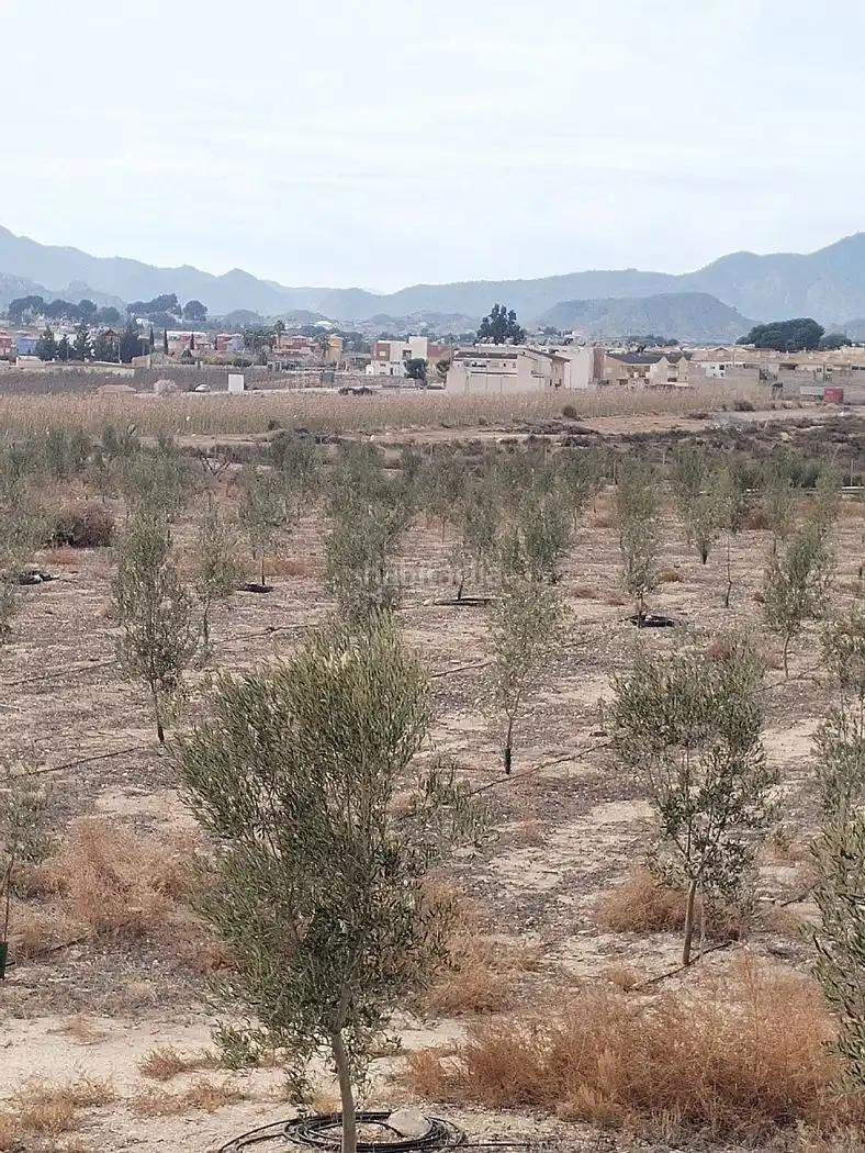 Villa in vendita a Calle Joaquín Mondéjar 92