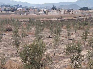 Chalet en venta en Calle Joaquín Mondéjar 92