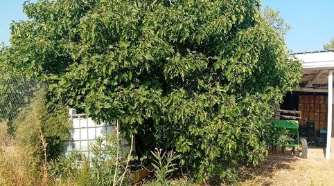 Foto 5 de Terreno en venta en Vial Camino, 58, Foso - Moreras, Aranjuez
