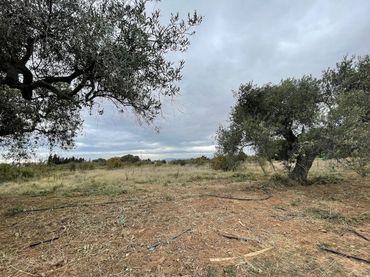Terreno residenziale in vendita a Rambla de Jaume I 95