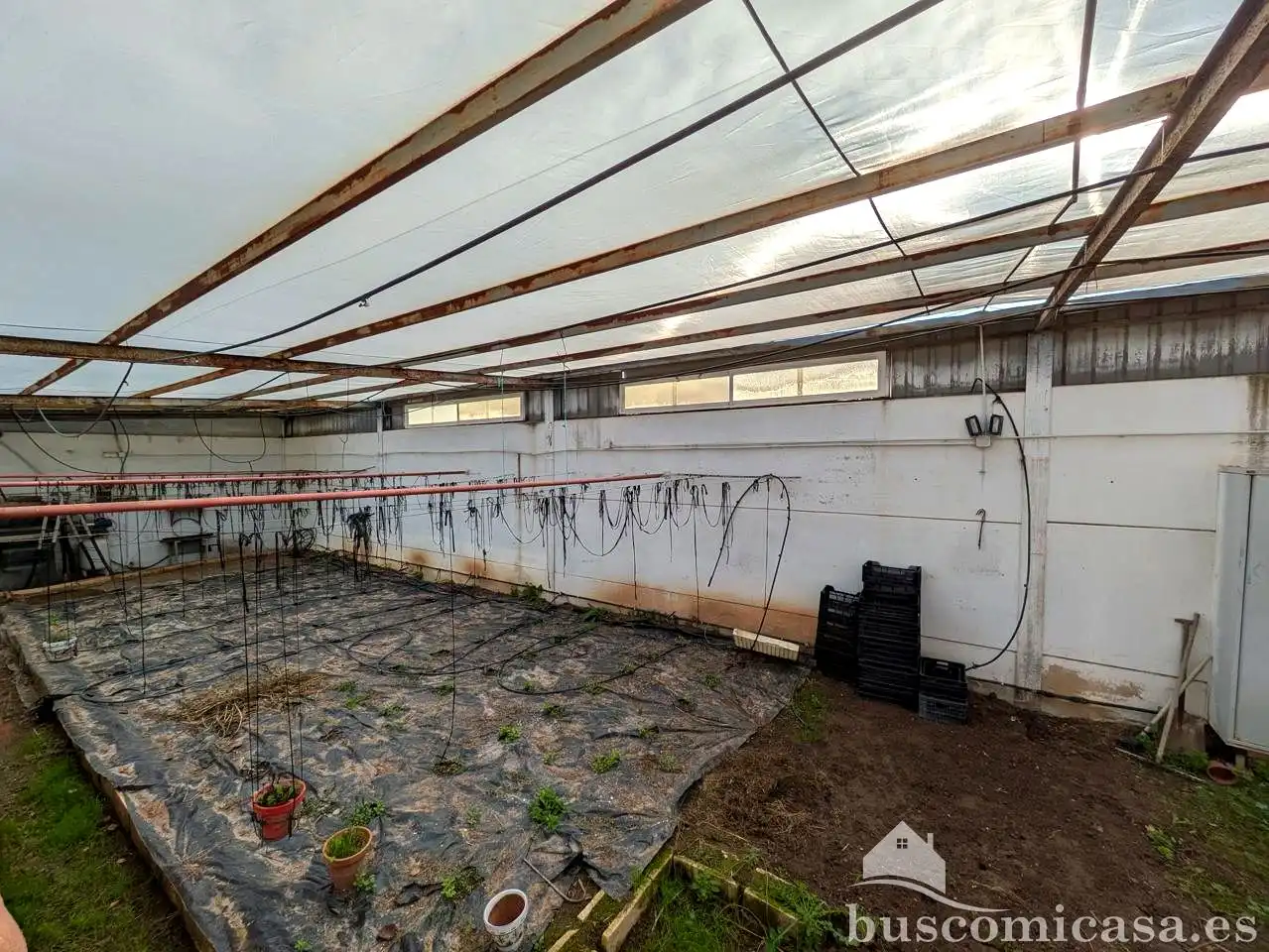 House with pool for sale in LLanos del Arenal, imagen 14