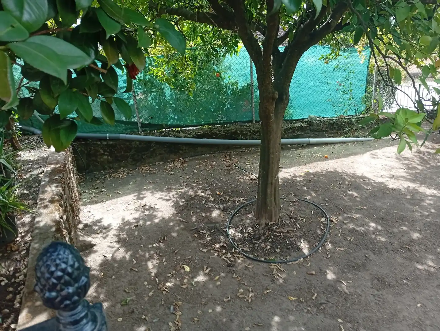 Haus mit Garten zum Verkauf in Villanueva de la Vera, imagen 49