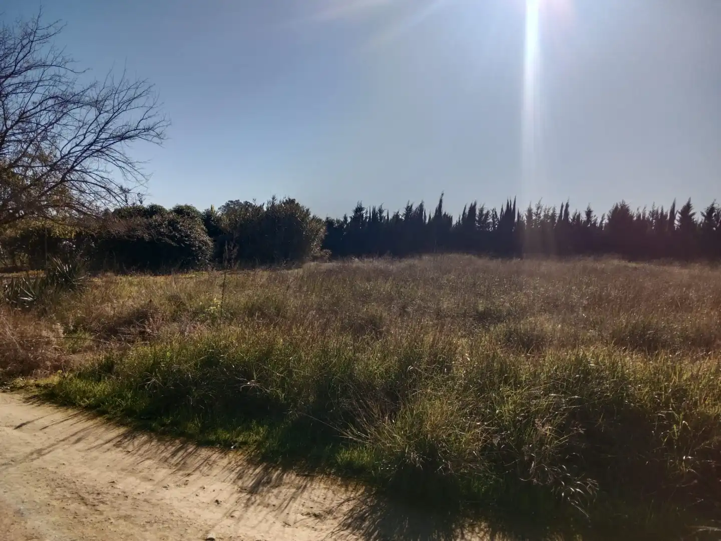 Terreno en venta en Utrera