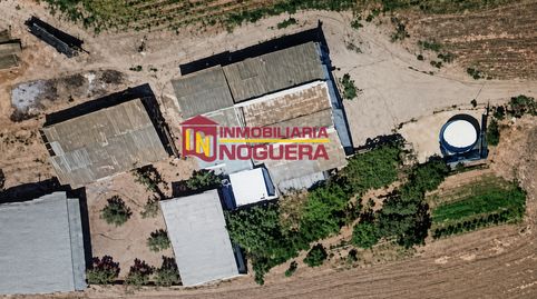 📍FINCA RUSTICA CON CASA Y 2 NAVES CERCA DE ECIJA📍, immagine 5