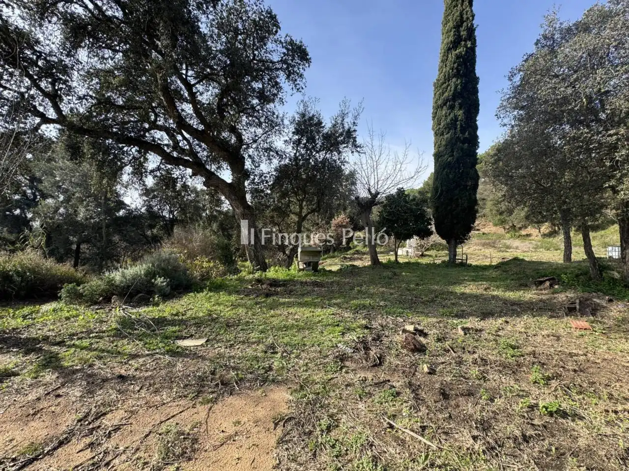Finca rústica en venda en Tordera amb Jardí privat i Terrassa