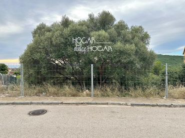 Terreno rustico in vendita a Iuca