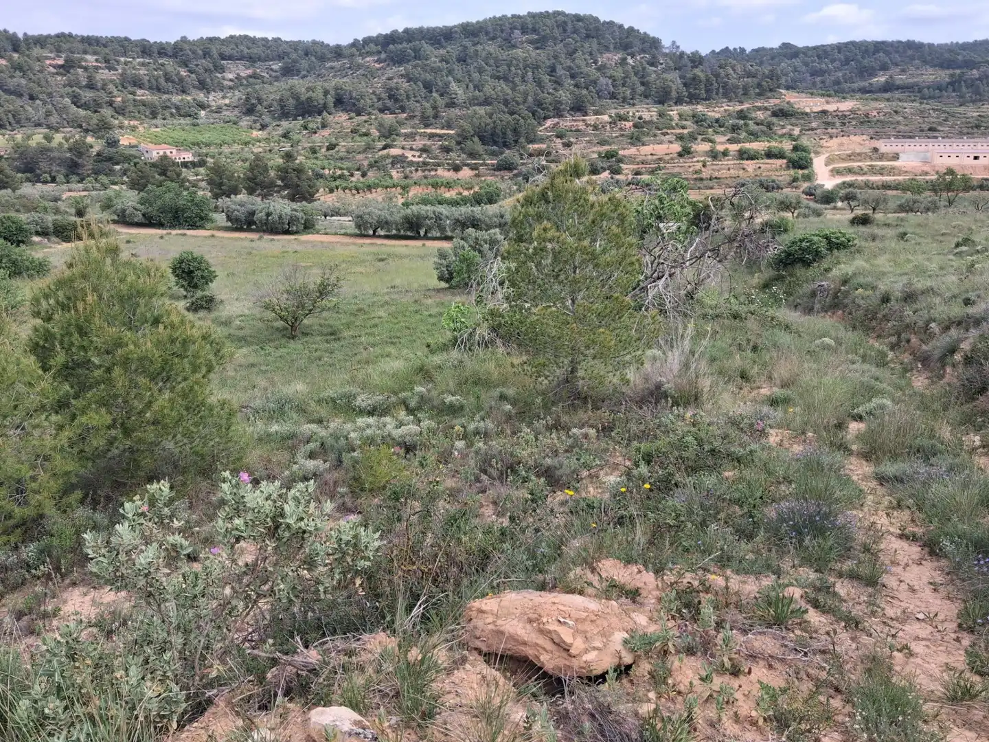 Rural land for sale in Gandesa, imagen 14