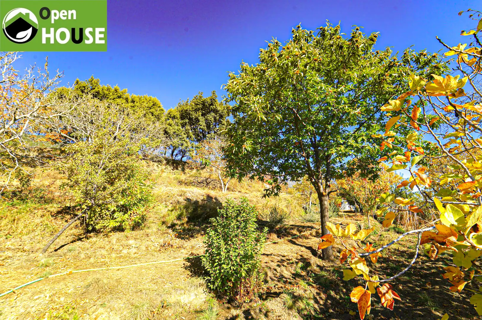 Casa rústica amb jardí en venda a N/A, imagen 43