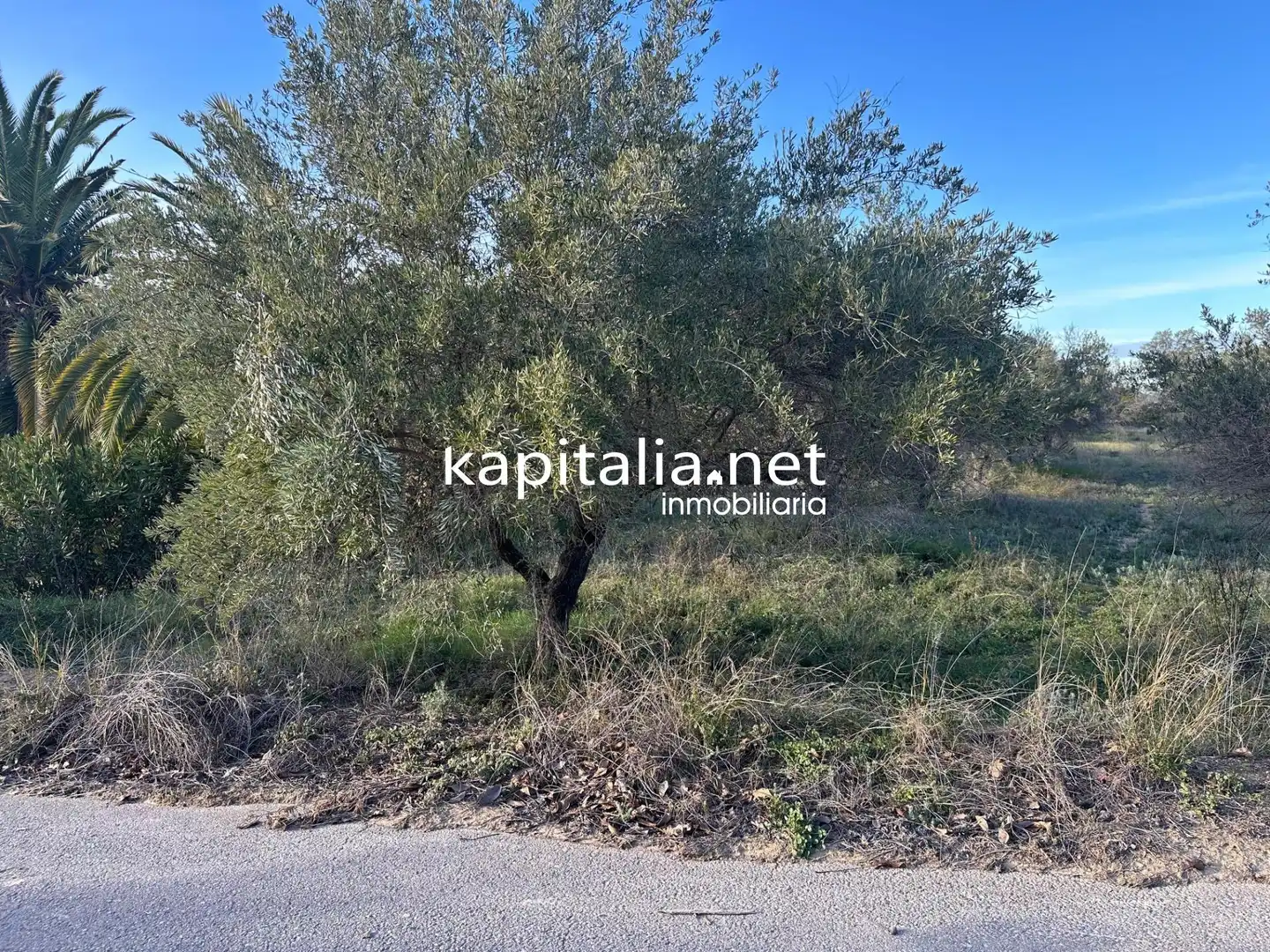 Residential zum Verkauf in Ontinyent