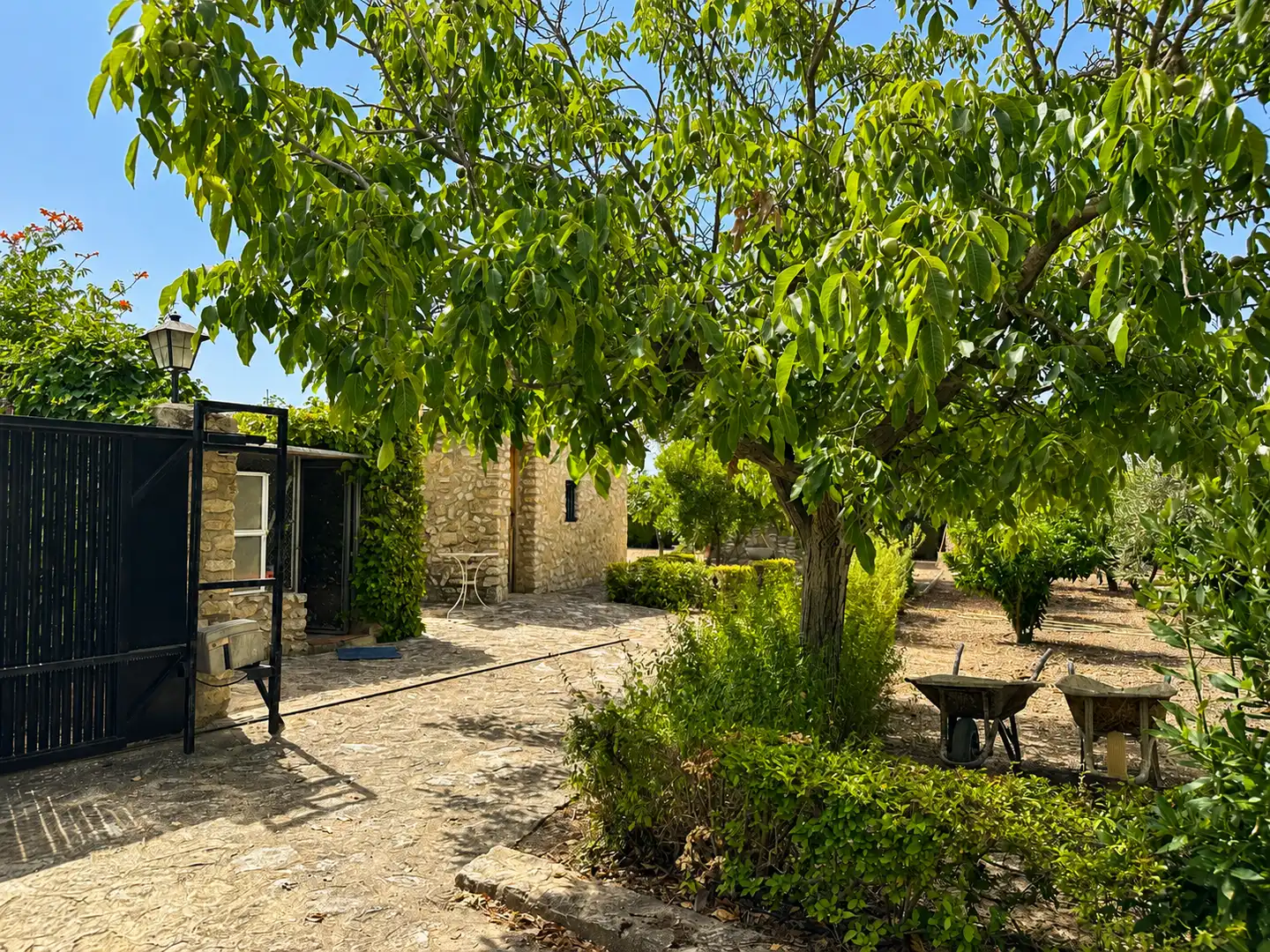 Maison avec jardin à vendre à El Pilar, imagen 15