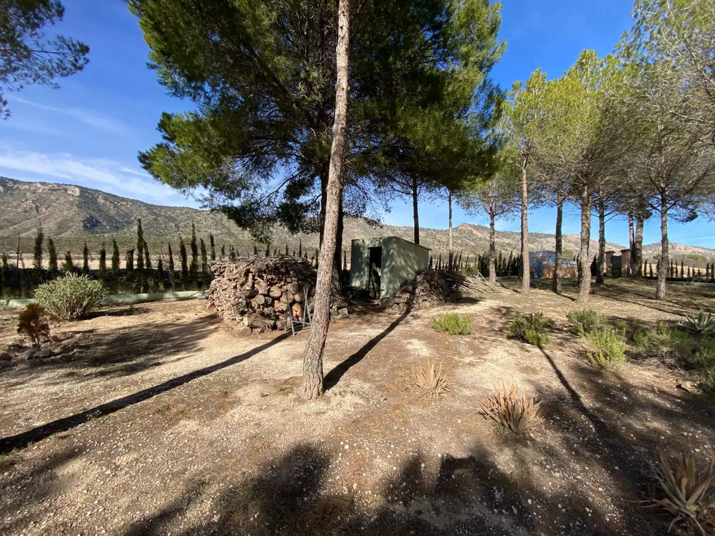 Jardín de Casa o chalet en venta en Salinas con Aire acondicionado, Jardín privado y Terraza