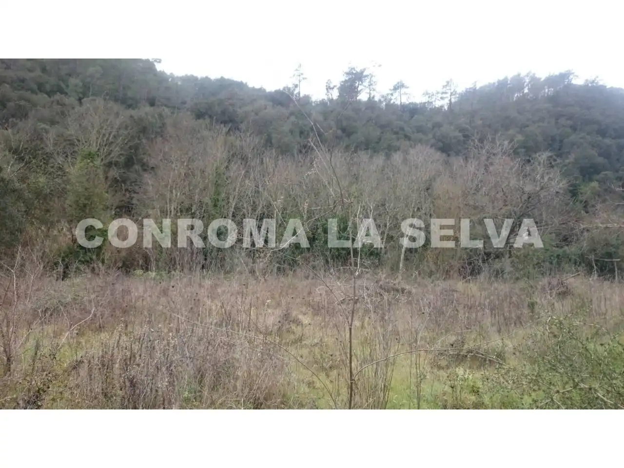 Casa rústica amb jardí en venda a Tordera pueblo, imagen 13