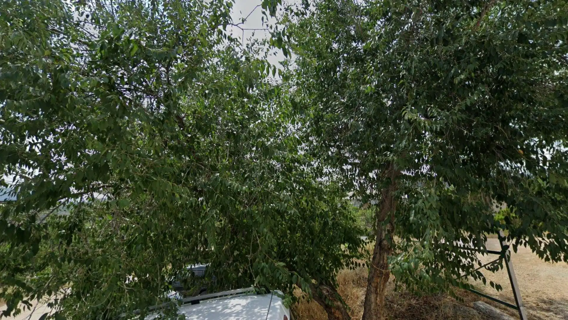 Baixos en venda a Ricardo Garcia, imagen 3