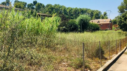 PARCELA DE 800M2 SEMILLANA, immagine 2