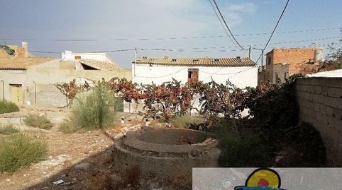 AlboxTerreno, immagine 3