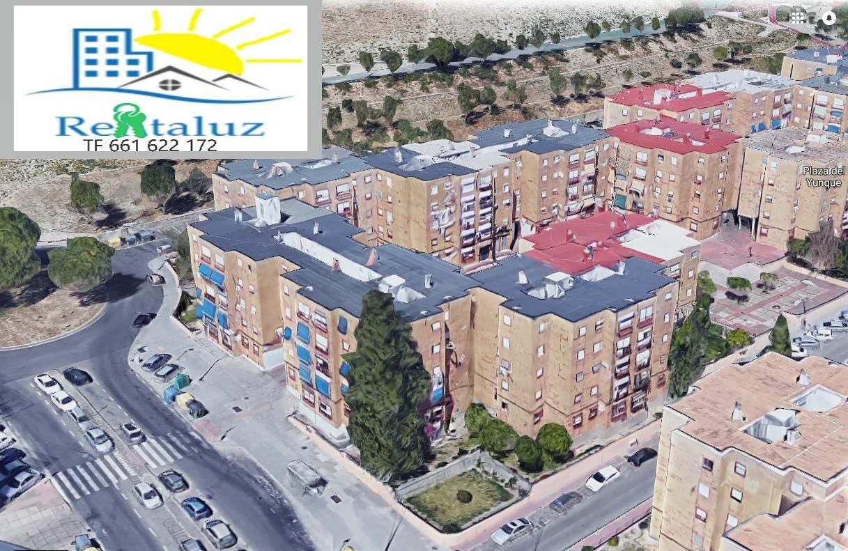 Flat to rent in La Fragua, San Telmo - Federico Mayo - El Porta