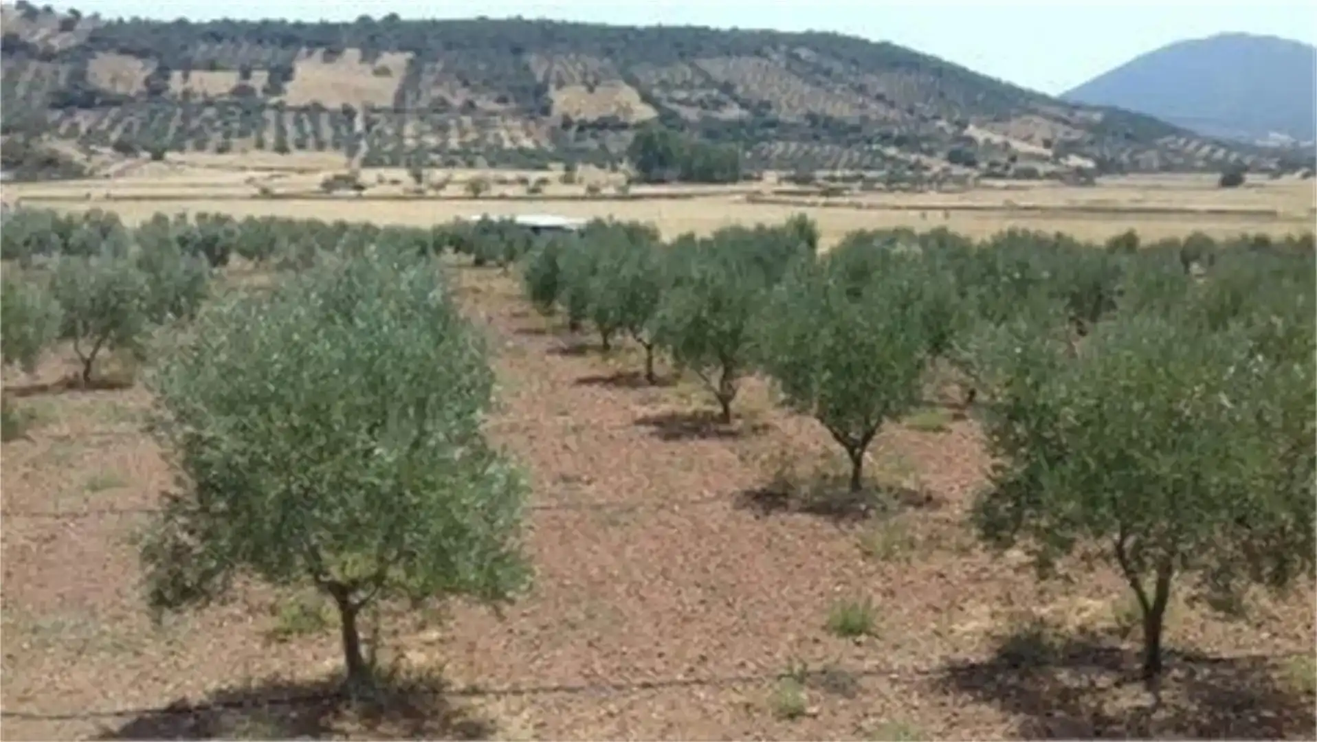 Finca rústica en venda en Peñalsordo amb Aire condicionat, Piscina i Moblat