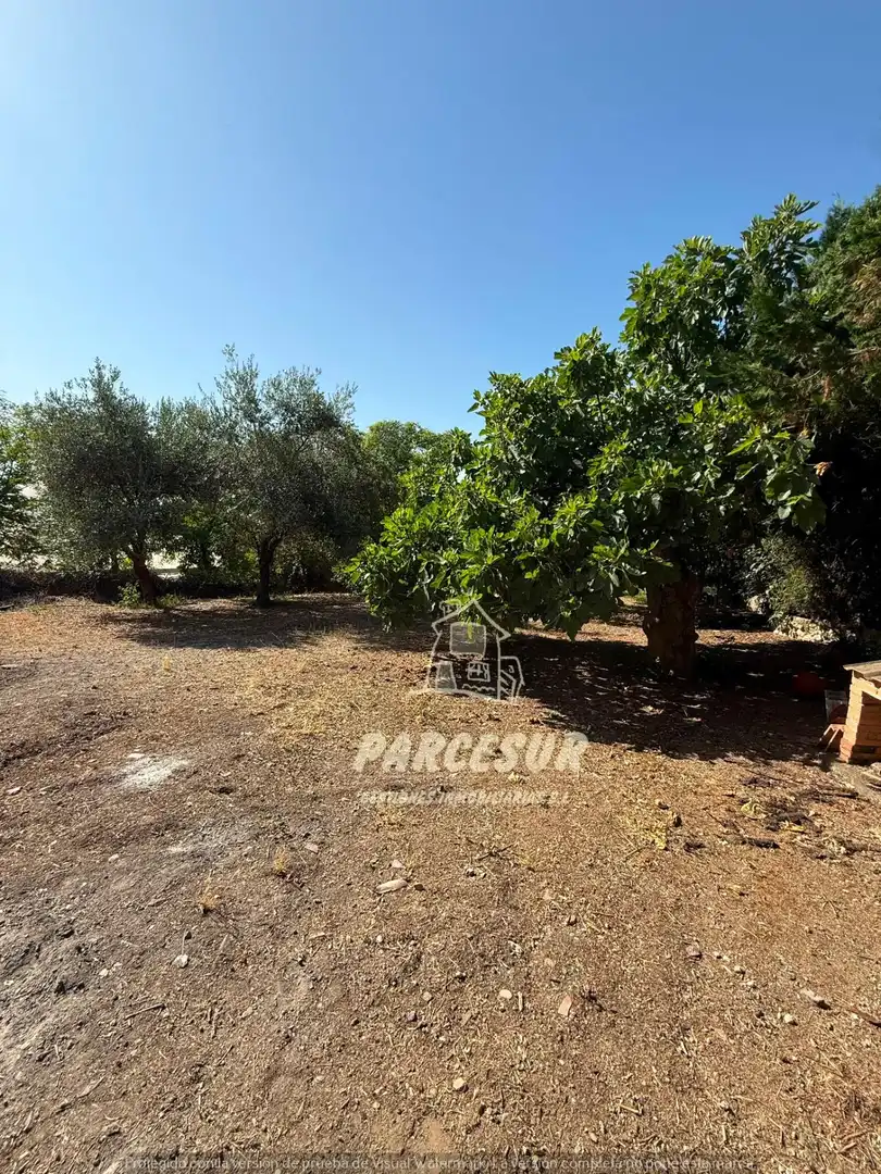 Finca rústica en venda en Almodóvar del Río amb Aire condicionat, Jardí privat i Terrassa