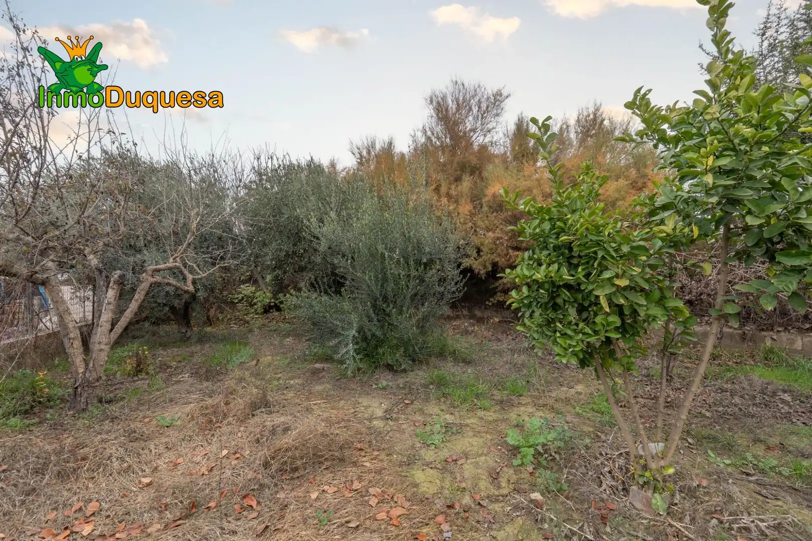 Country homes for sale in Chauchina