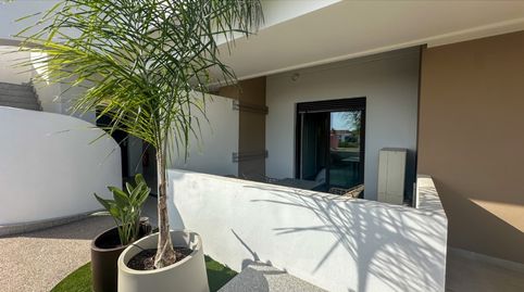 APARTAMENTO MODERNO EN LA PLANTA BAJA EN PLAYA FLAMENCA, imatge 3