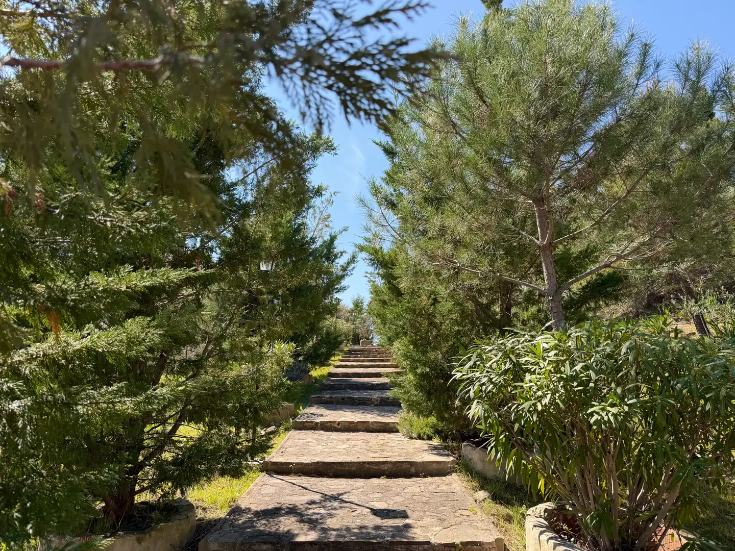 Jardín de Casa o chalet en venta en  Toledo Capital con Jardín privado, Trastero y Piscina